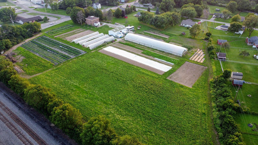farm on central overhead view