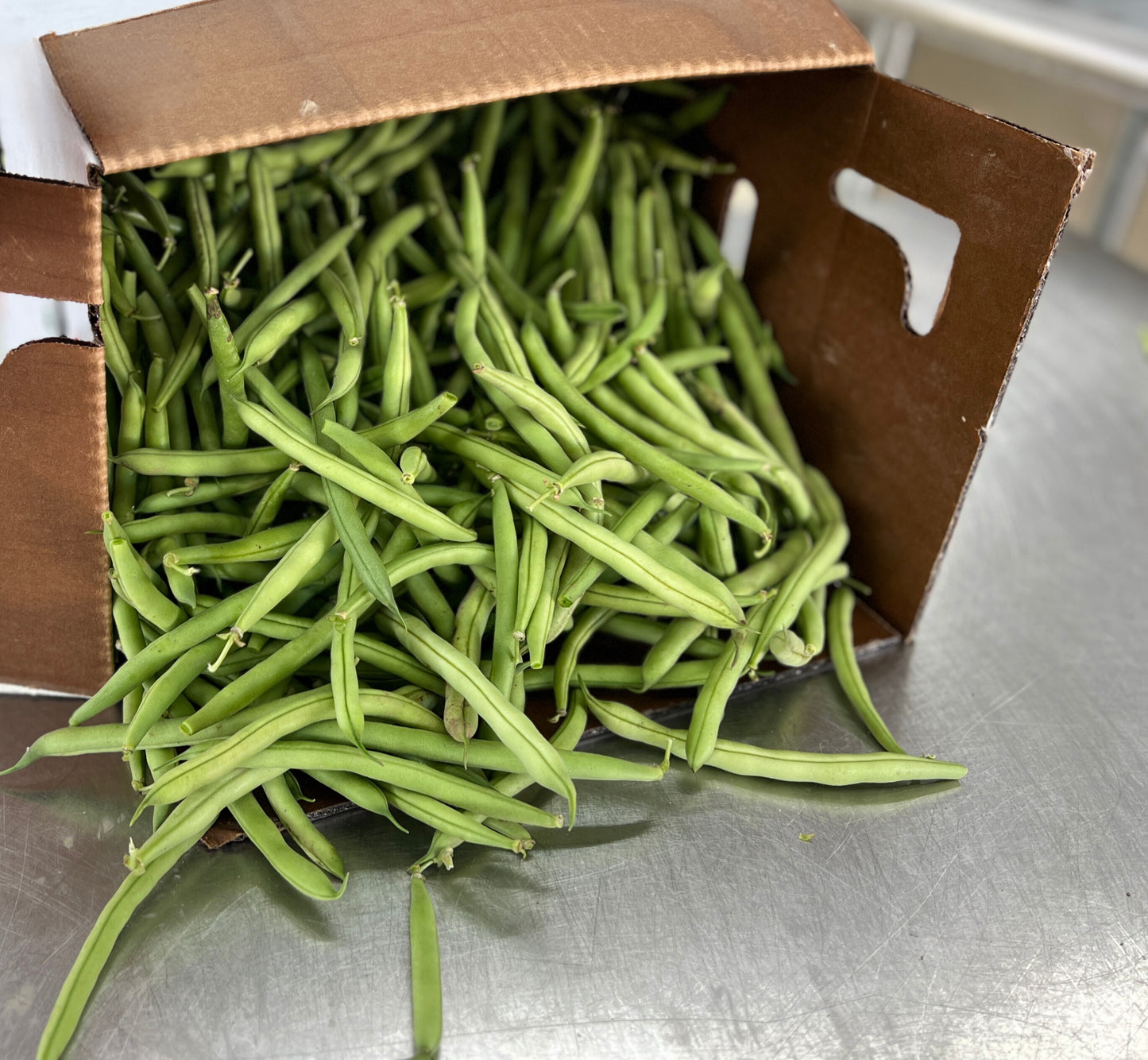 Green Beans, Bulk