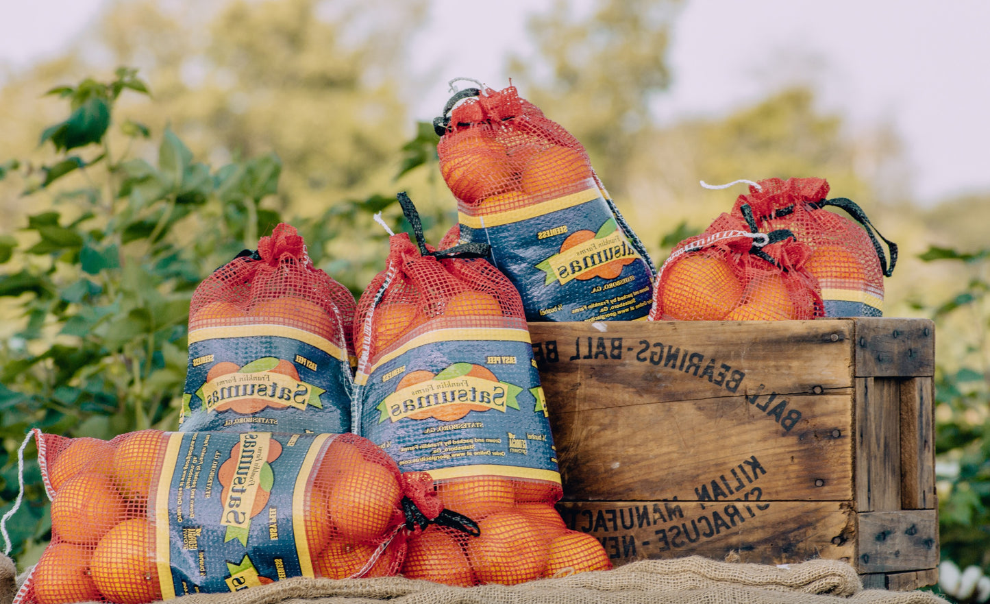 Tango Mandarin - Seedless, Juicy