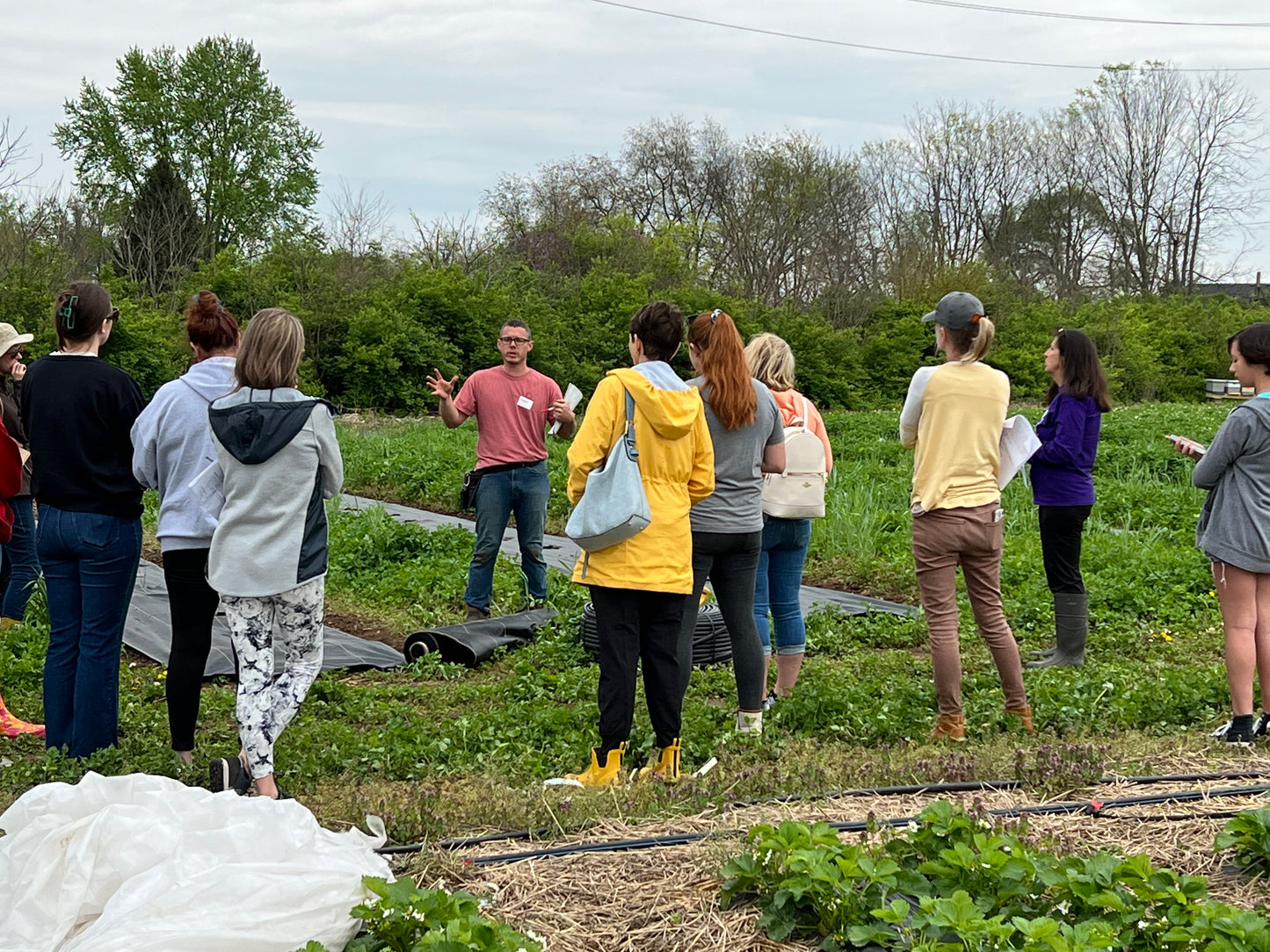 Farm on Central: Exclusive Farm Tour Experience
