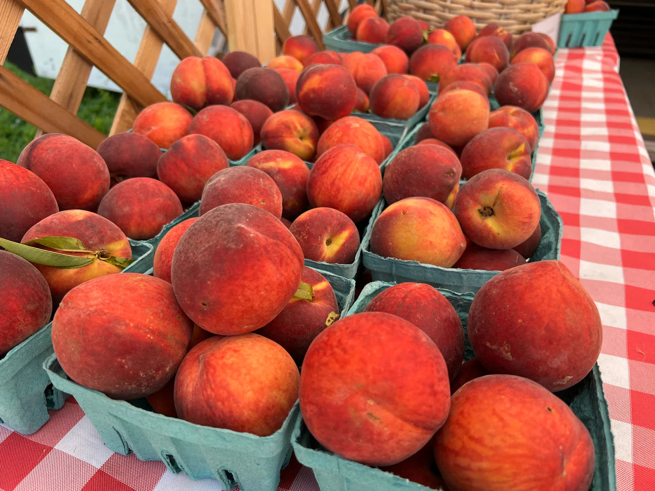 Lane Orchards Freestone Peaches – A Georgia Treasure