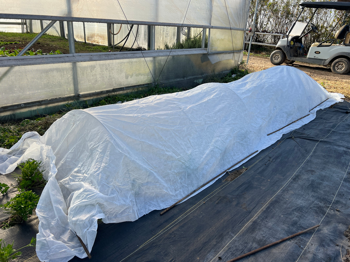 Garden Row Cover 6'x12'