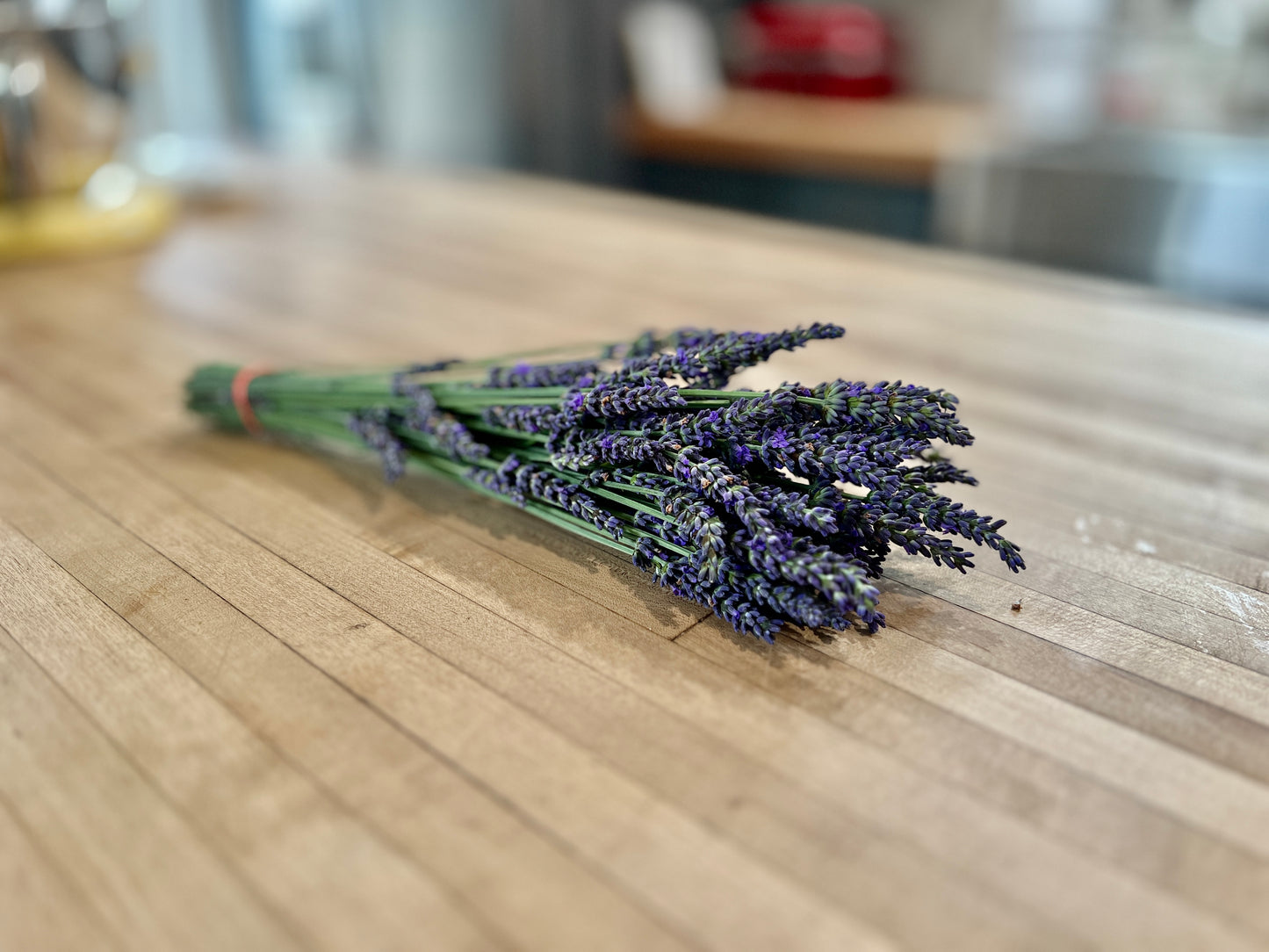French Lavender Bunch