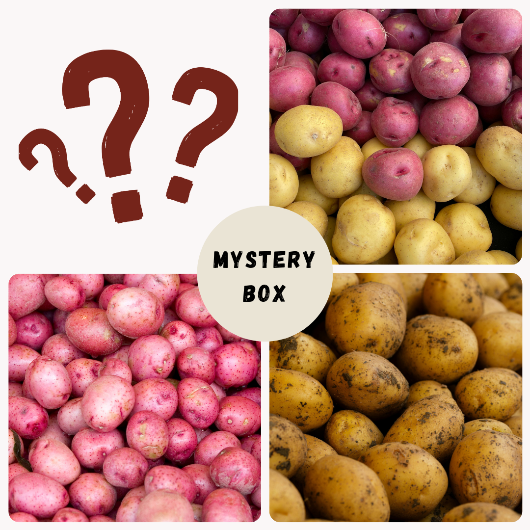 Potato Mystery Box