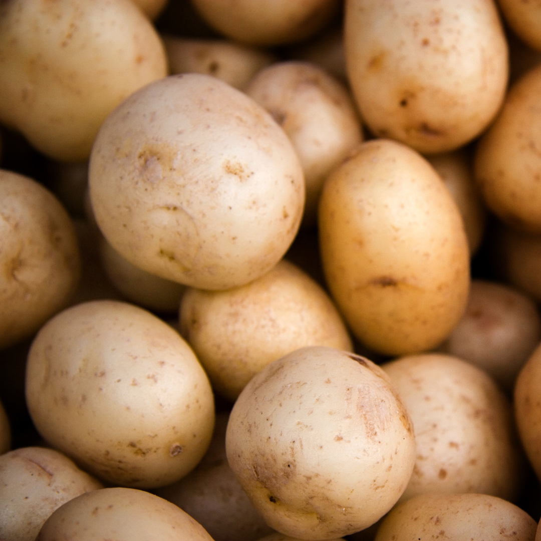 Yukon Gold Potato