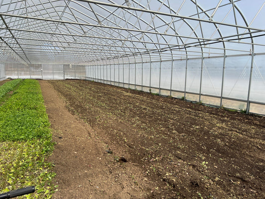 farm on central greenhouse with freshly tilled soil