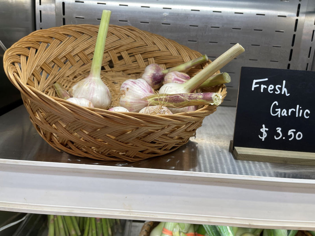 Intercropping Garlic with Strawberries