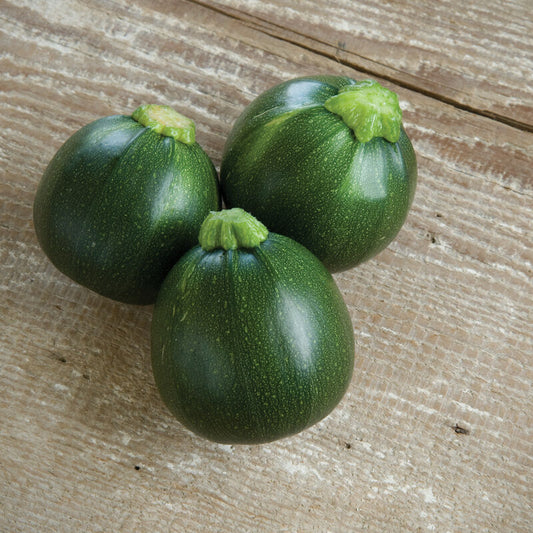 Zucchini Squash, Eight Ball