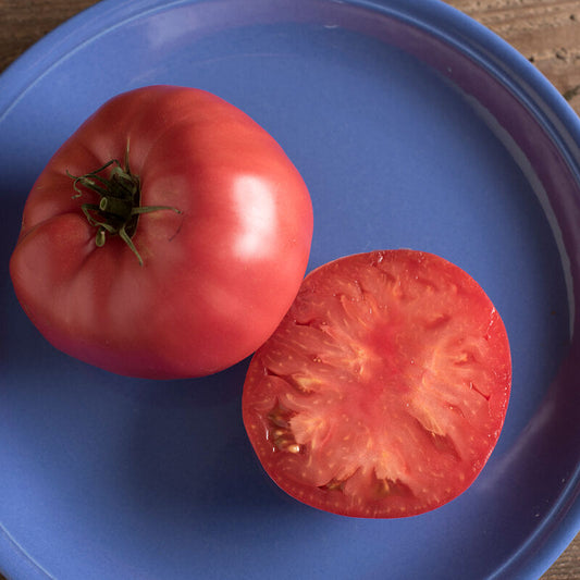 Tomato, Brandywine