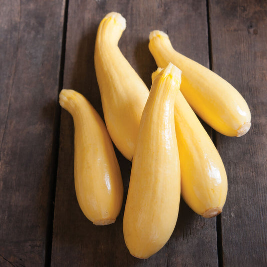 Yellow Squash, Multipik