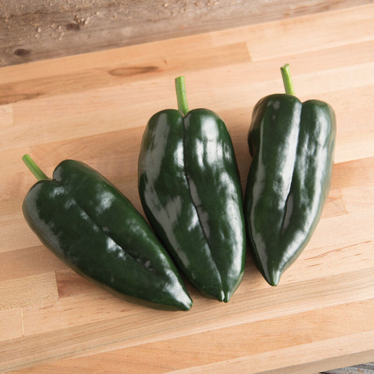 Pepper, Poblano