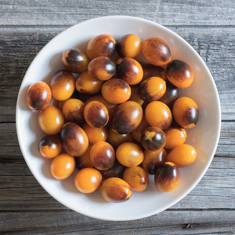 Tomato, Indigo kumquat