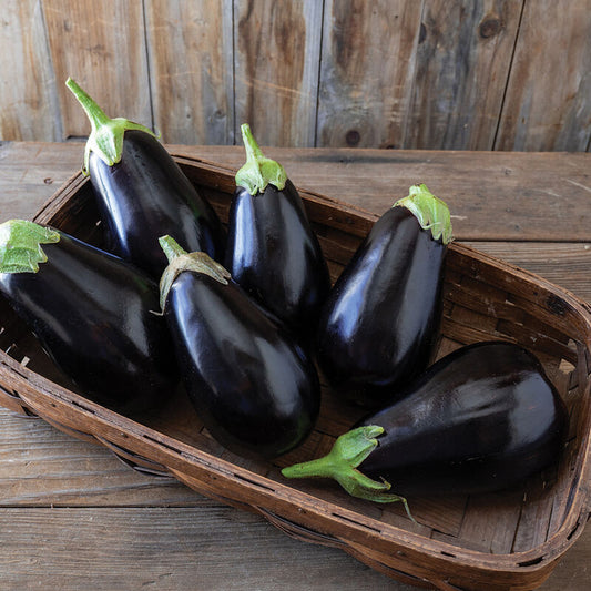 Eggplant, Thanos