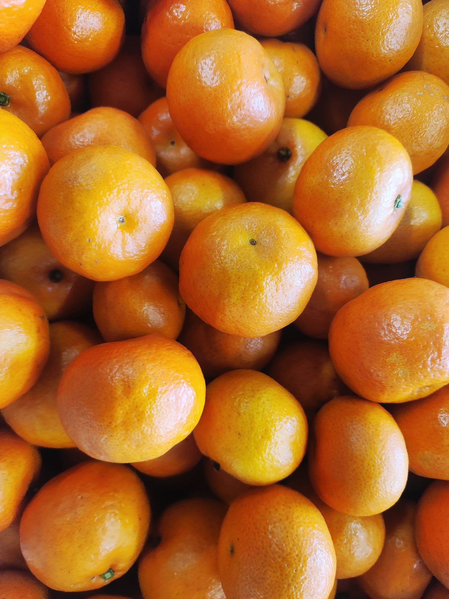 Bingo Mandarin- Bright Sweet Flavor!