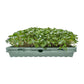 1020 Microgreen Trays: Professional Quality, Heavy Duty, Sustainably Made