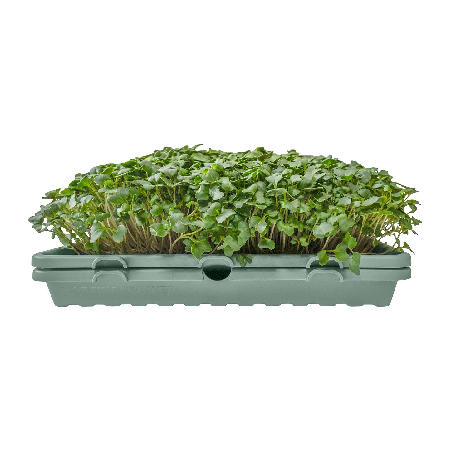 1020 Microgreen Trays: Professional Quality, Heavy Duty, Sustainably Made