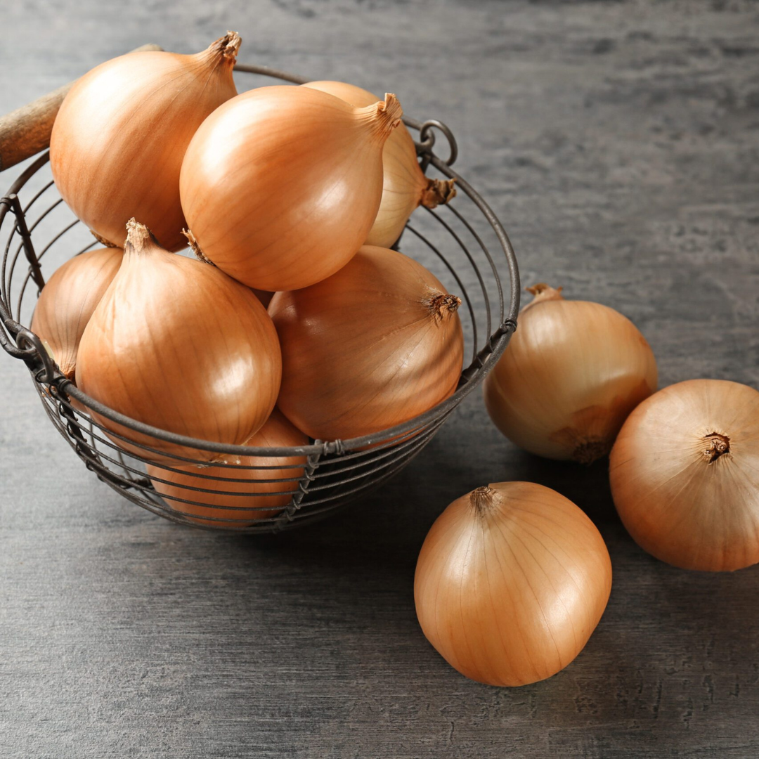 Expression Onion Plants (Intermediate-Day)