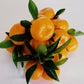 November Citrus Sampler - A Trio of Japanese-Inspired Mandarins