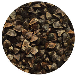 Buckwheat