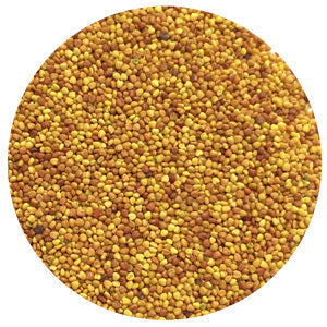 Clover, Dutch White (Raw)