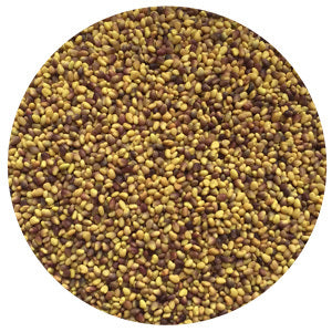 Clover, Medium Red (Raw)