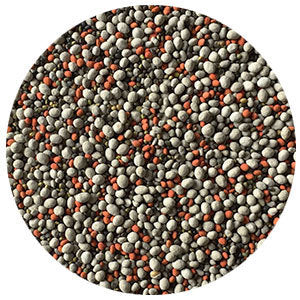 PeakBlend Frosted Clover