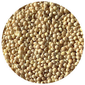 Millet, Proso