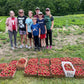 Berry Boost ~ Biochar and Nutrient Pack for Strawberry Success