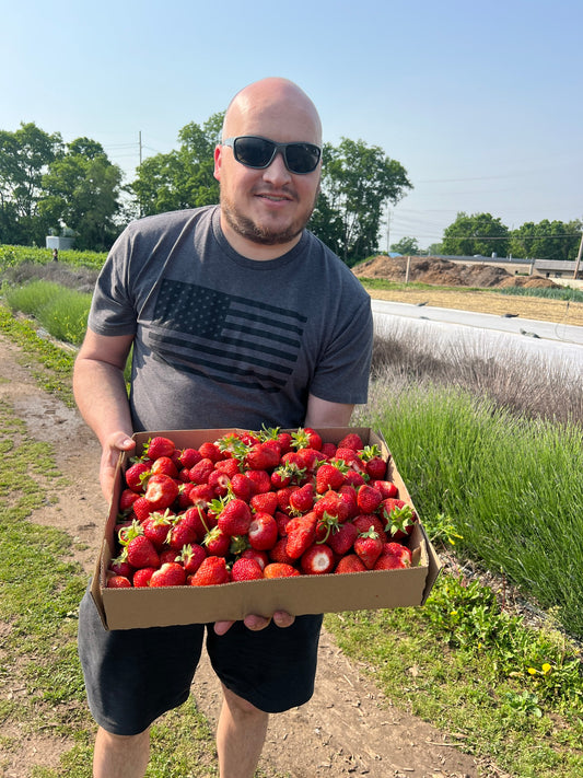 AC Valley Strawberry Plants