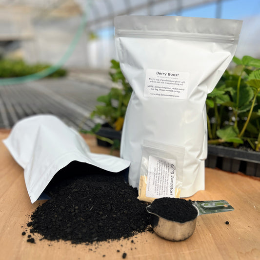 Berry Boost ~ Biochar and Nutrient Pack for Strawberry Success