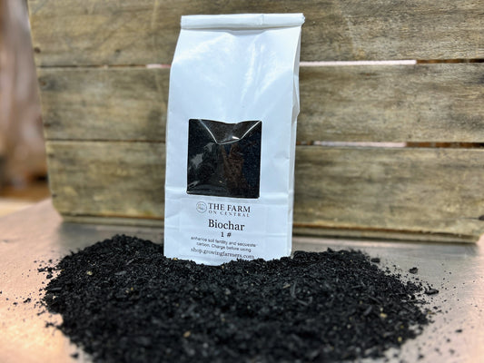 Premium Biochar