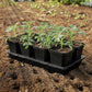 5" Heavy Duty Nursery Pots