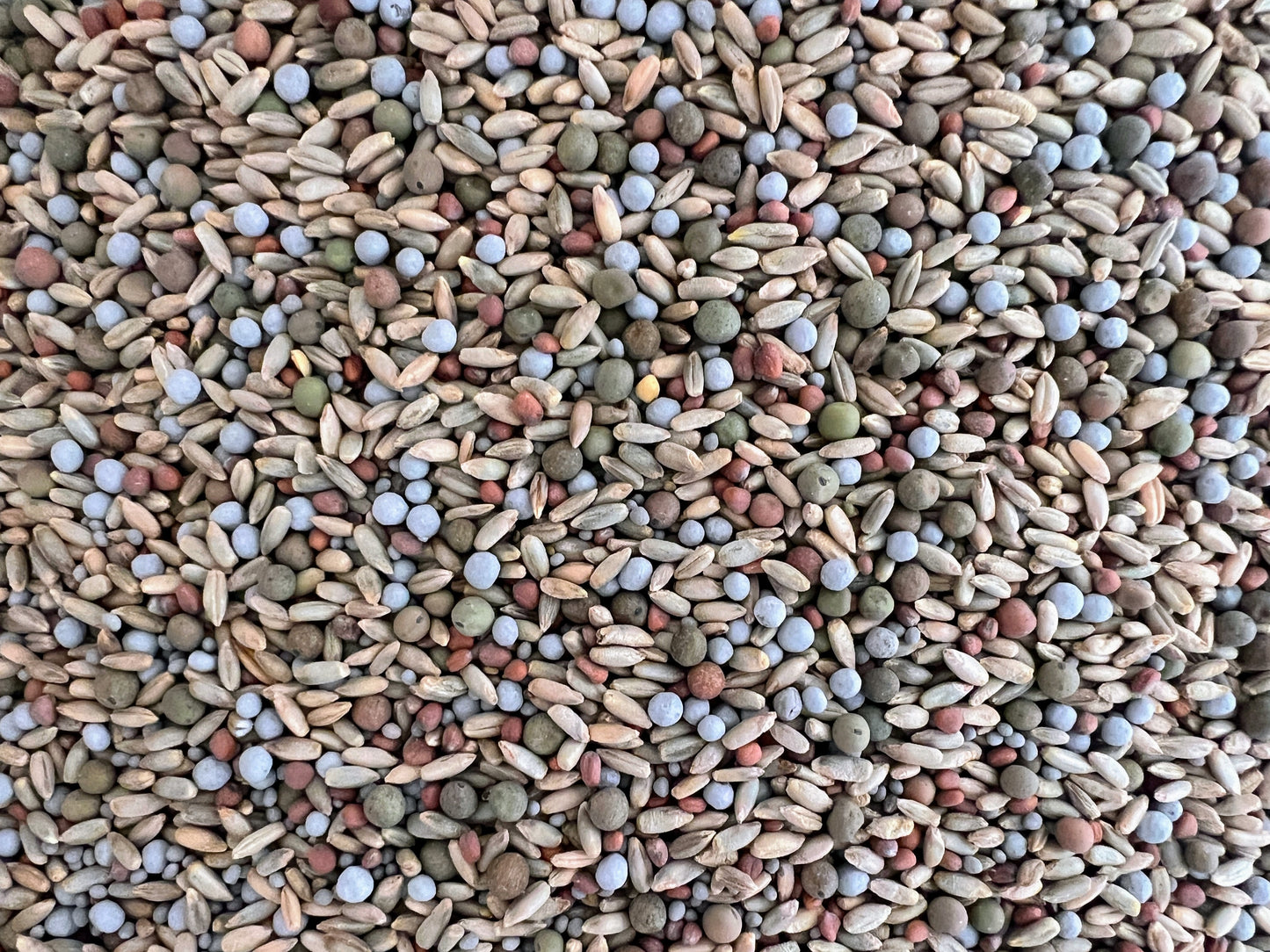 Fall/Spring Cover Crop Mix: Nourish and Protect Your Soil