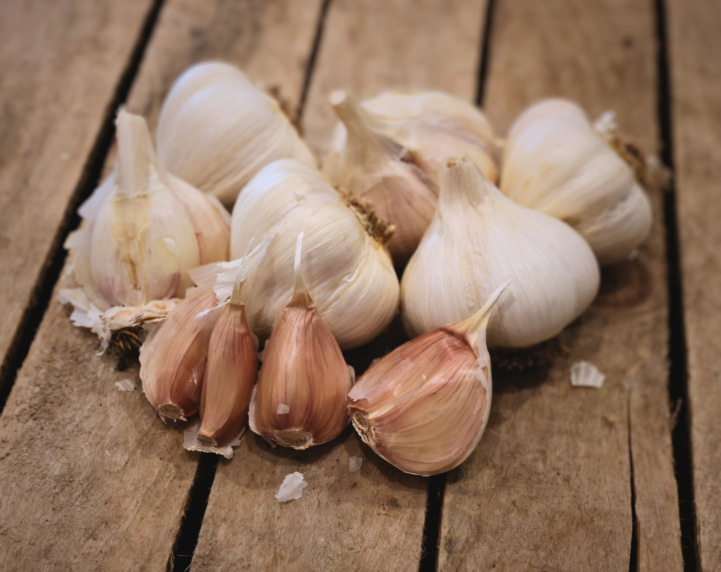 Music Garlic - Certified Organic