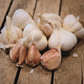 Music Garlic