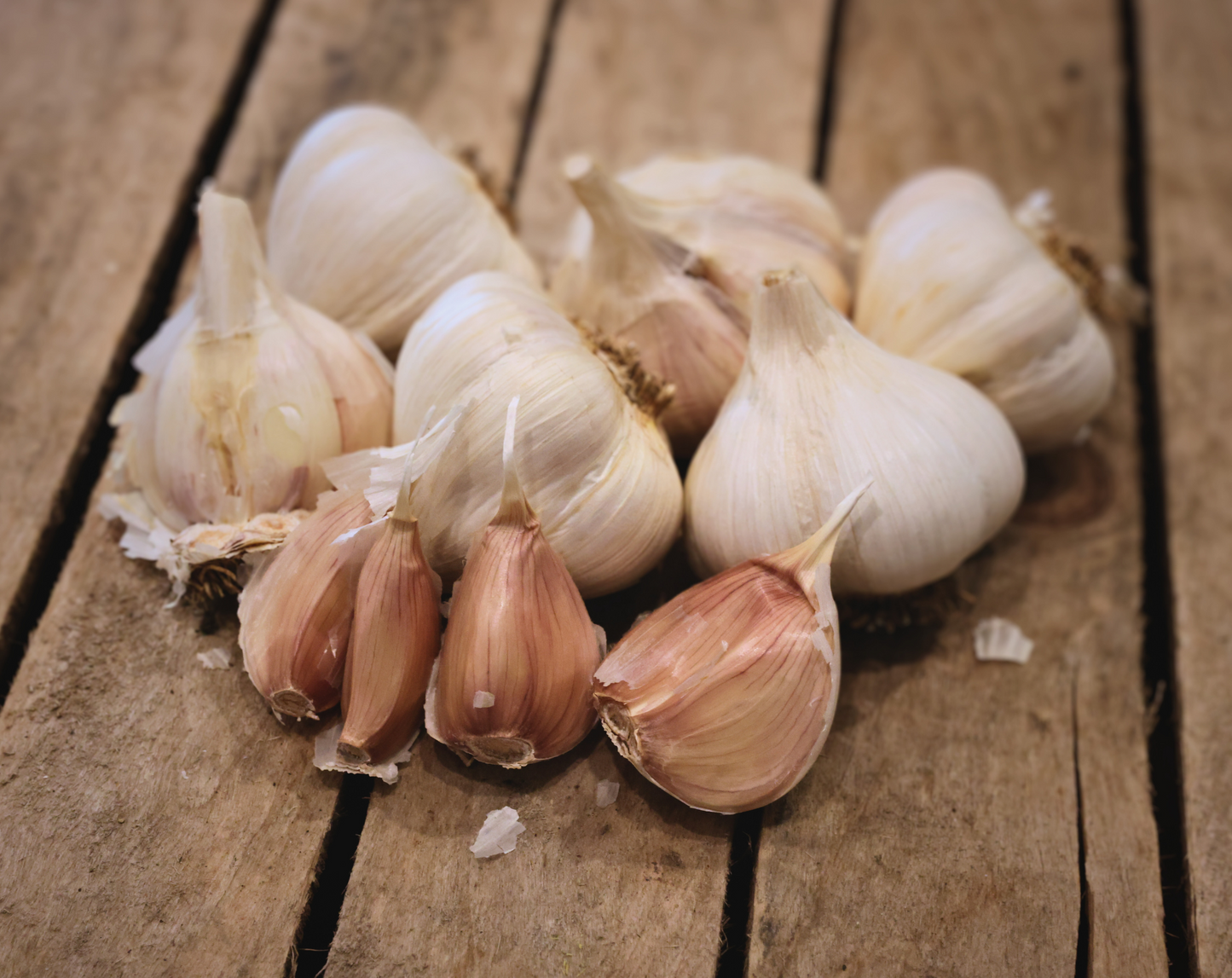 Music Garlic