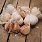 Music Garlic - Medium ( 1.5-2" )