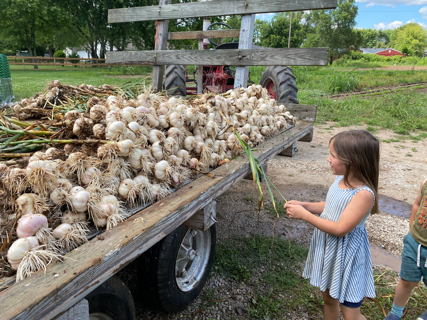 Garlic & Onion Combo Kit