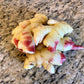 Fresh Baby Ginger Root - Culinary (Pre-Order)