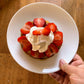 PREORDER: Camerosa Strawberry Plants - Free Shipping! - Fall Planting for Spring Harvest