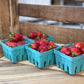 PREORDER: Chandler Strawberry Plants - Fall Planting for Spring Harvest