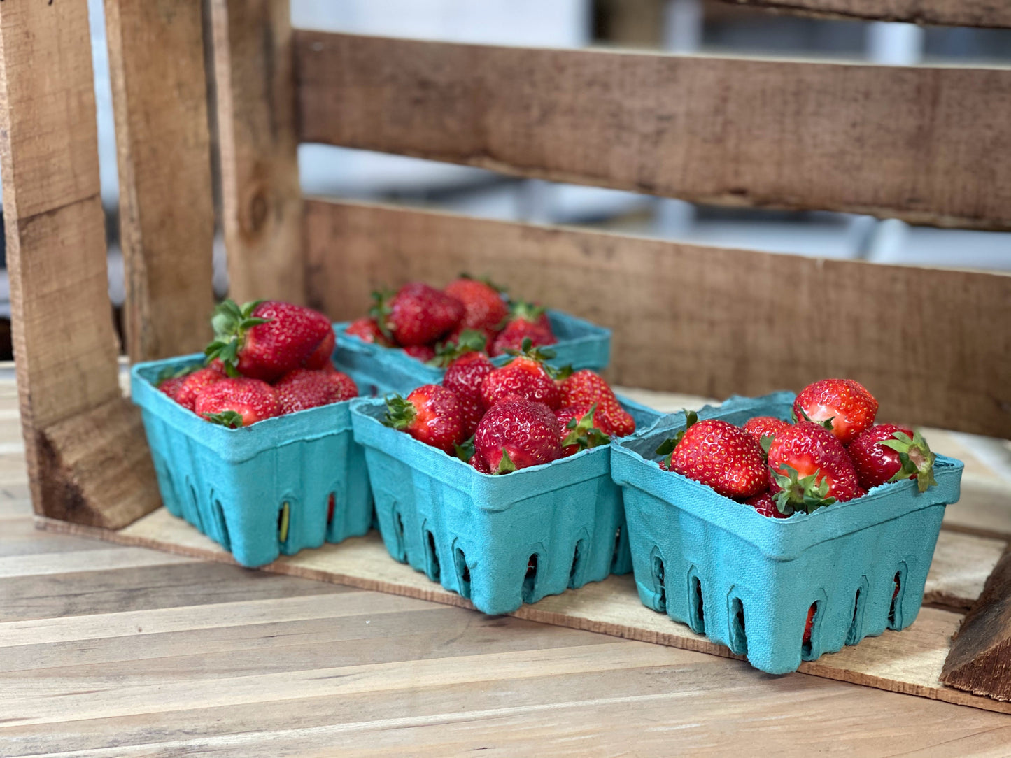 PREORDER: Ruby June Strawberry Plants - Free Shipping! - Fall Planting for Spring Harvest