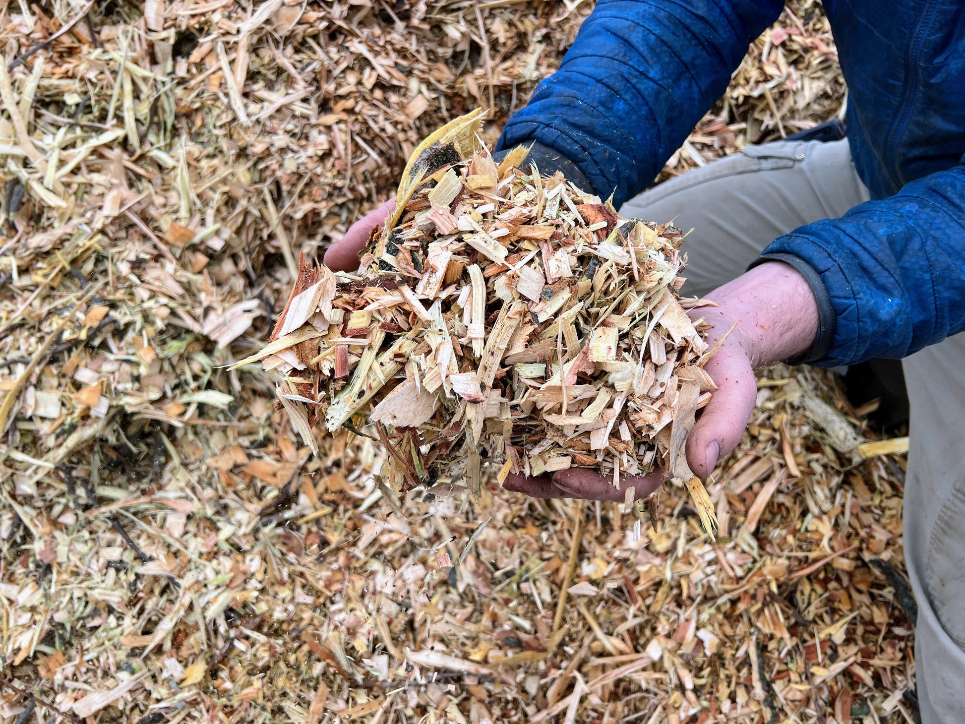 wood chips for plant pots Wood Chips – The Farm On Central