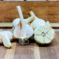 Garlic Connoisseur's Sampler Pack: FREE SHIPPING