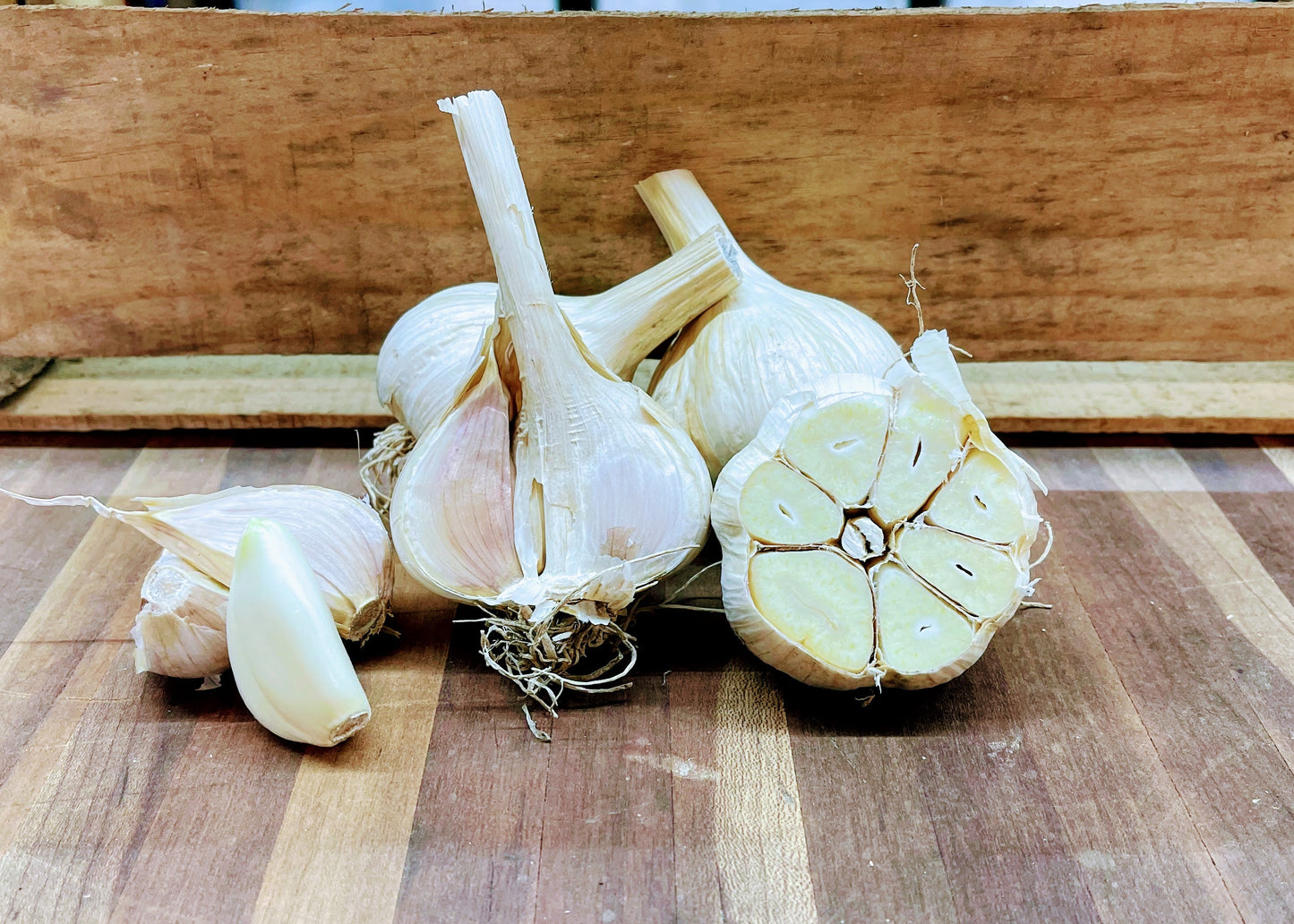 German White Garlic - Heirloom with European roots