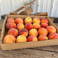 Lane Orchards Freestone Peaches – A Georgia Treasure