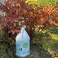 REGENiGROW™ Biostimulant (1 gal) - Free Shipping
