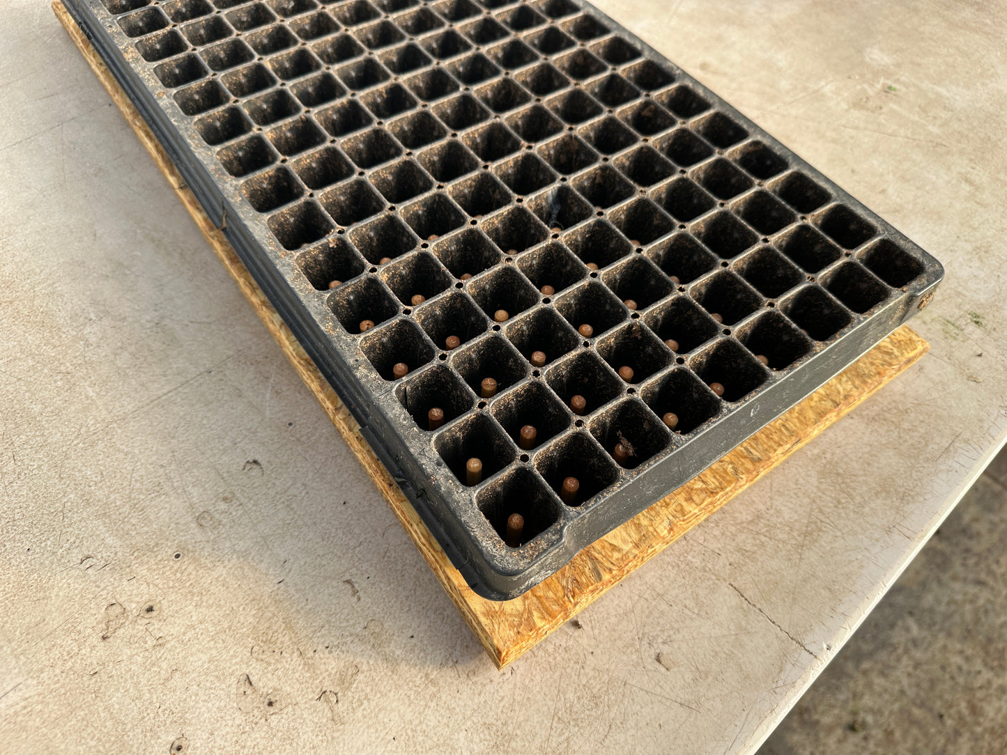 T. O. Plastics Plug Popper