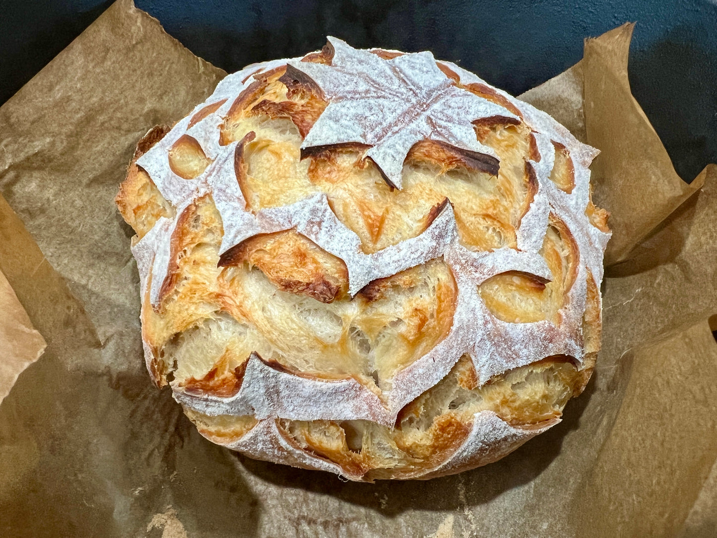 Ginny Sourdough Starter