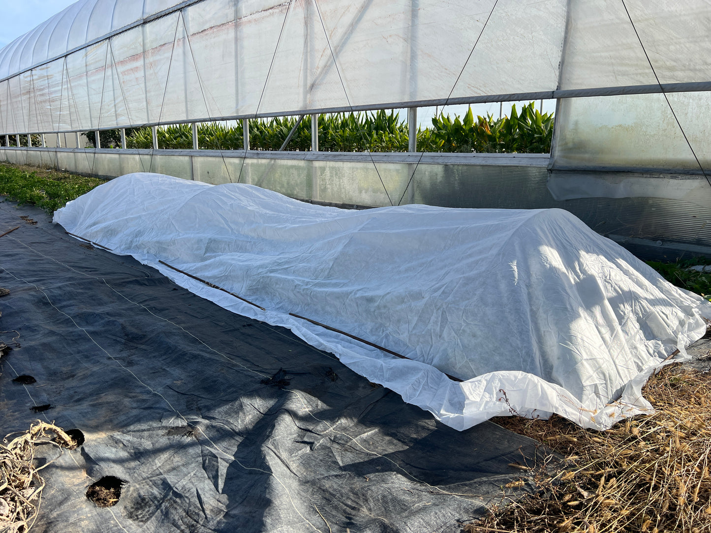 Garden Row Cover 6'x12'
